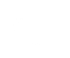 Project Delivery